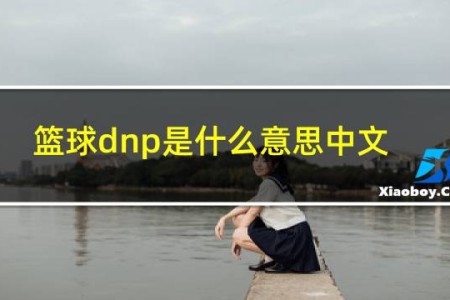 篮球dnp是什么意思中文